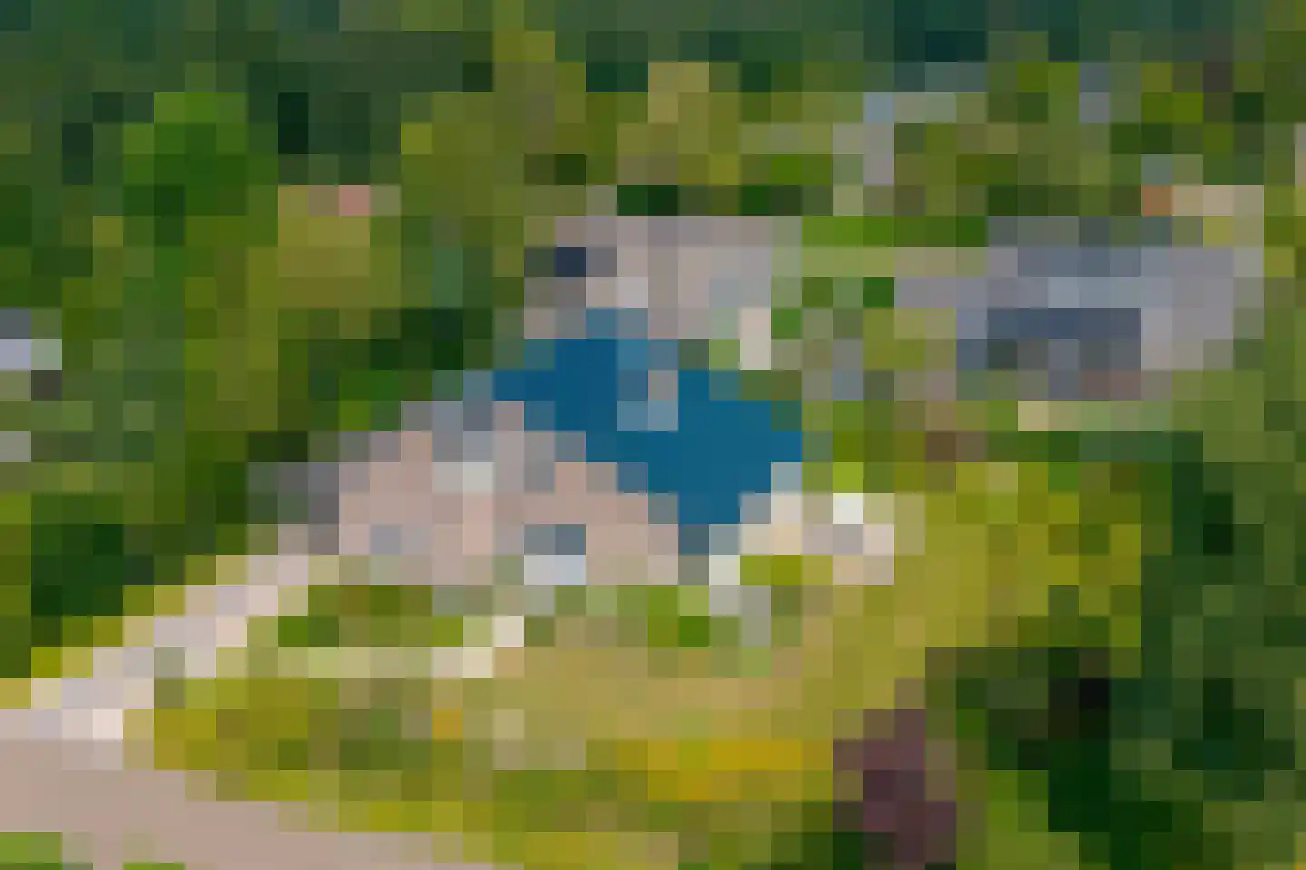 Groenestein 21 Roden thumbnail 6