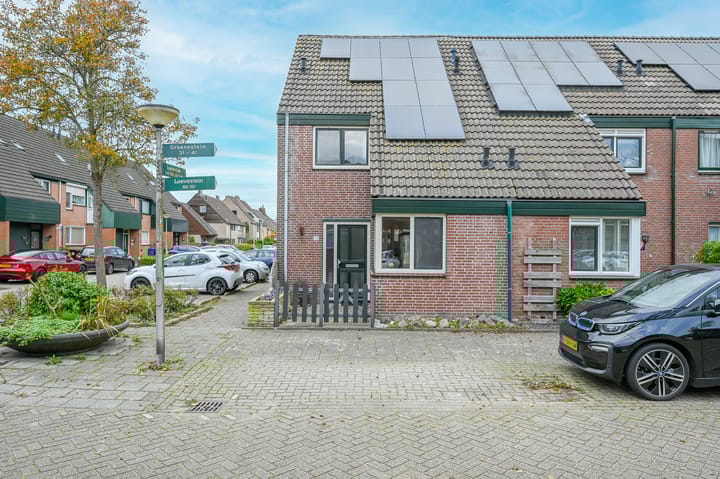 Groenestein 31 in Alphen aan den Rijn Foto