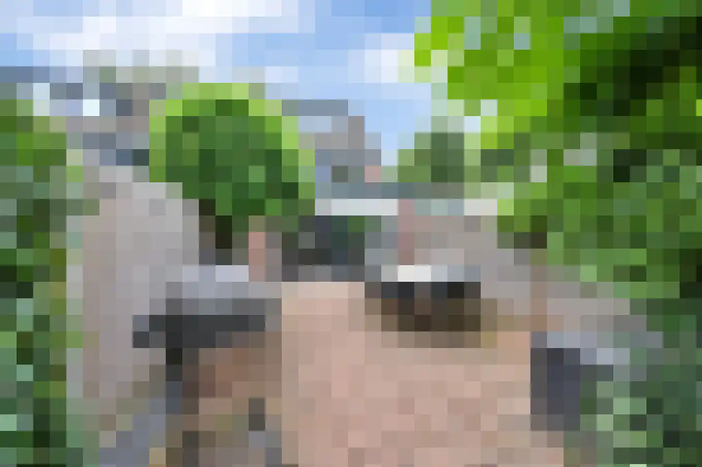 Groenestein 71 Alphen aan den Rijn thumbnail 4
