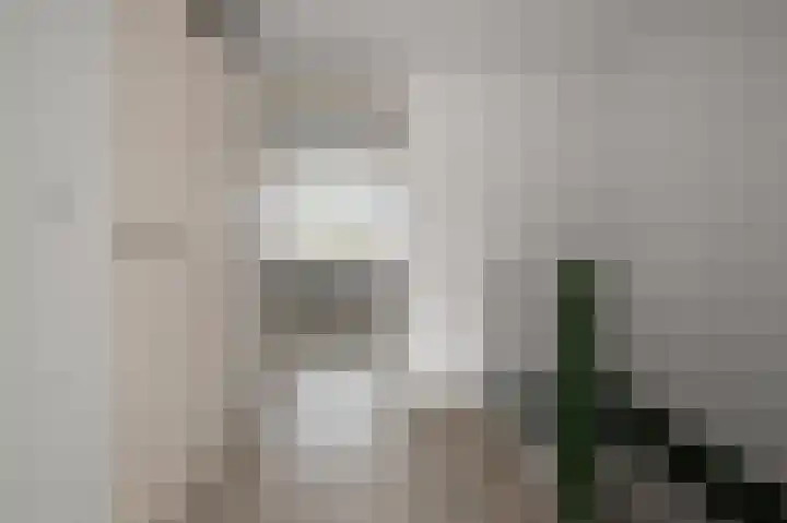 Groenestein 8 Alphen aan den Rijn thumbnail 32