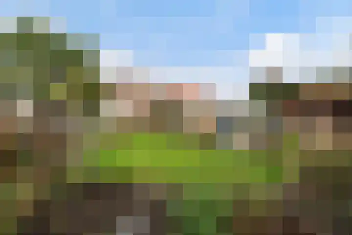 Groenestein 8 Hazerswoude-Rijndijk thumbnail 39