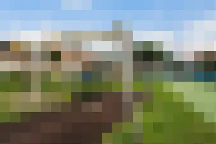 Groenestein 8 Hazerswoude-Rijndijk thumbnail 44