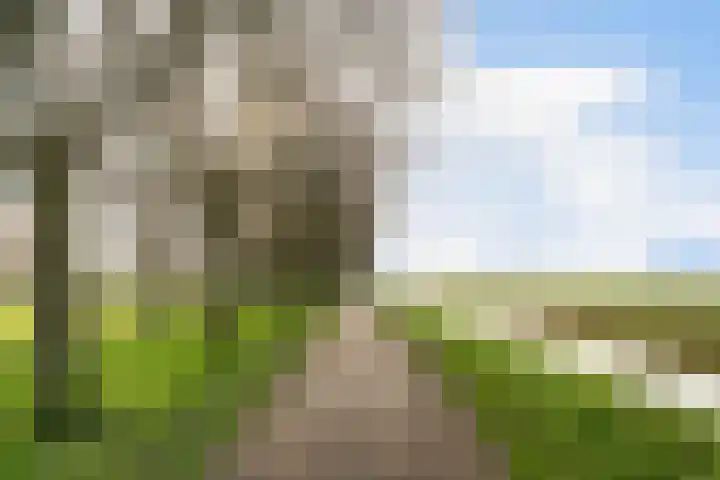 Groenestein 8 Hazerswoude-Rijndijk thumbnail 45