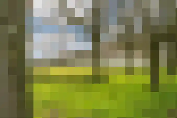 Groenestein 8 Hazerswoude-Rijndijk thumbnail 46
