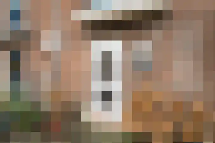 Groenestein 8 Hazerswoude-Rijndijk thumbnail 8