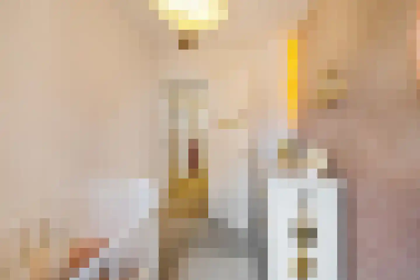 Groenesteinlaan 10 Groningen thumbnail 25