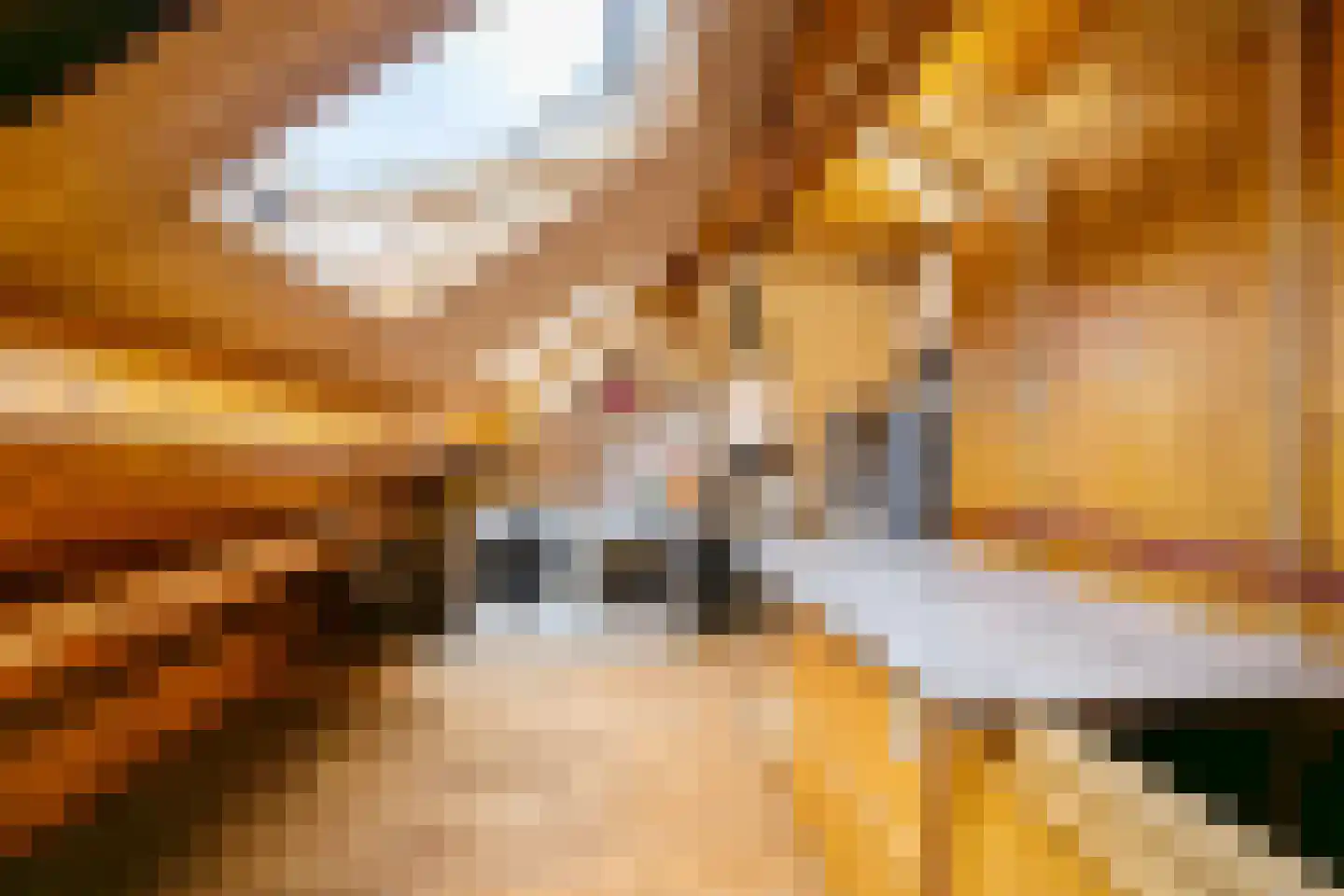 Groenesteinlaan 10 Groningen thumbnail 35