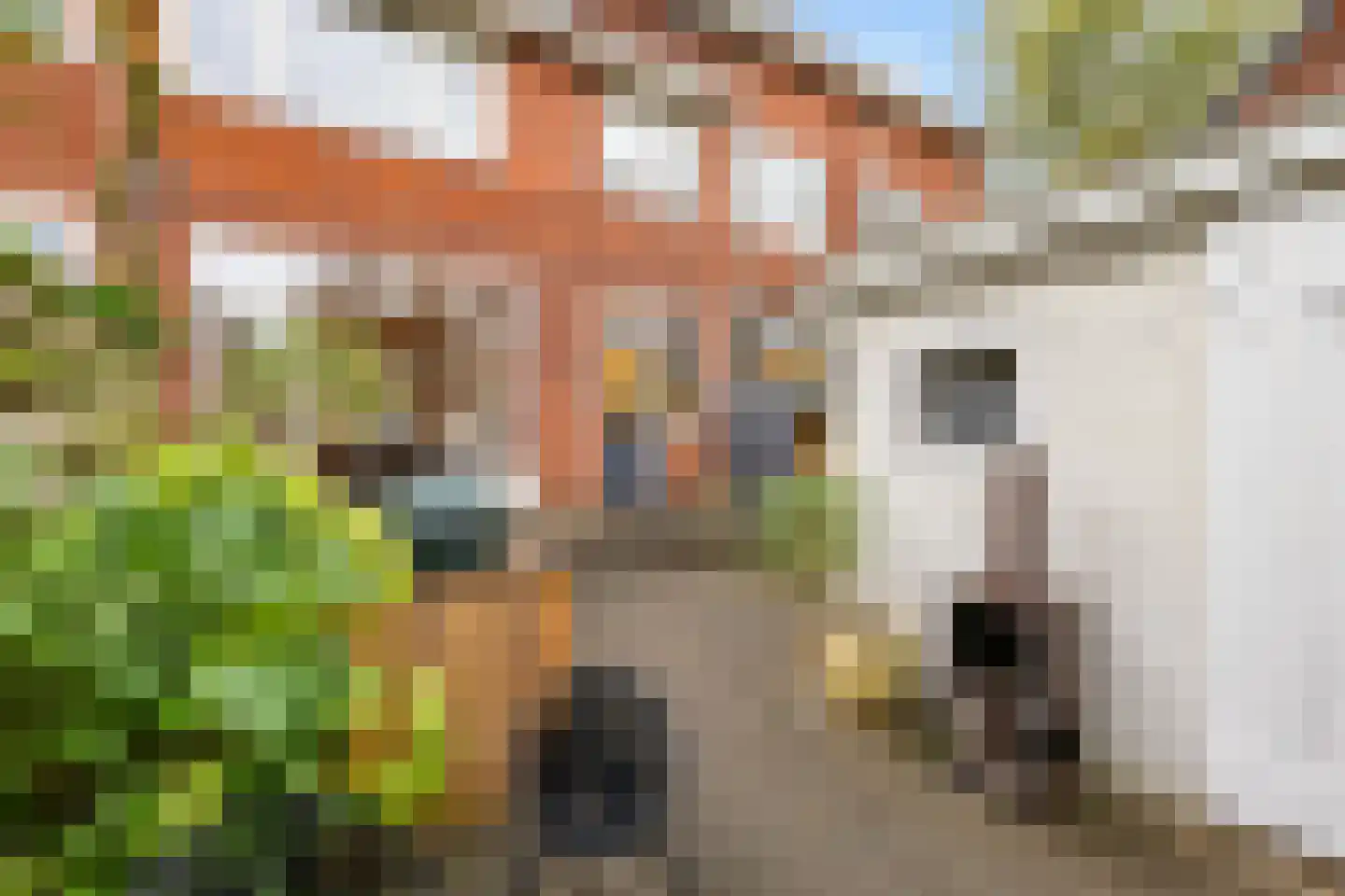 Groenesteinlaan 10 Groningen thumbnail 37