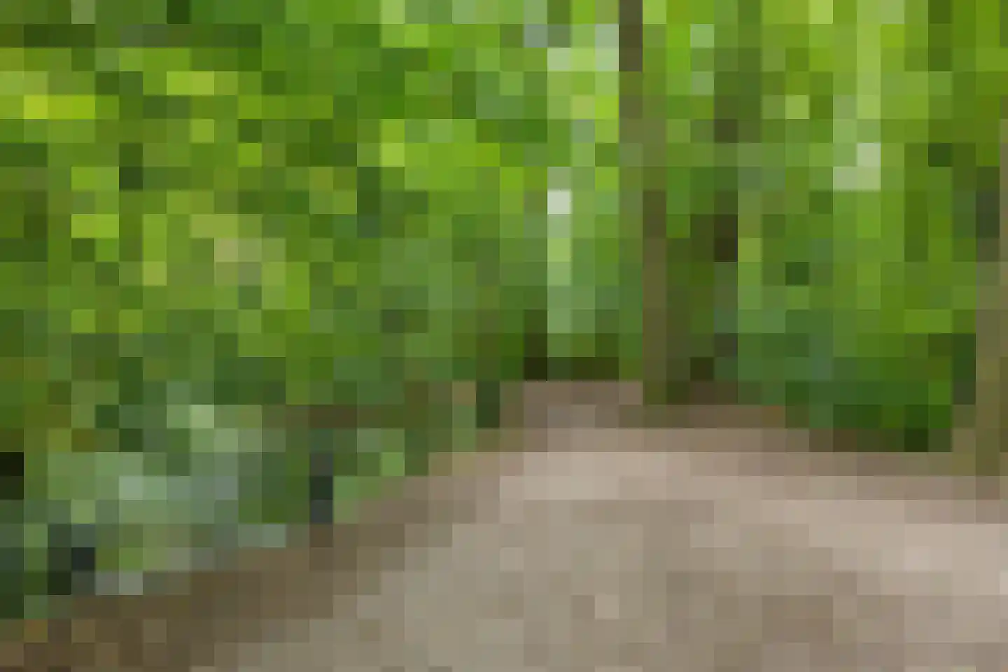 Groenesteinlaan 10 Groningen thumbnail 40