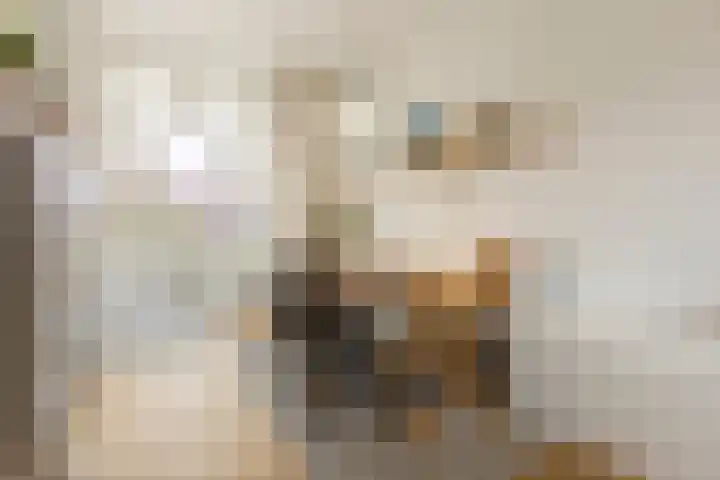 Groenesteinlaan 9 Groningen thumbnail 18