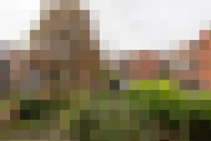 Groenesteinlaan 9 Groningen thumbnail 23