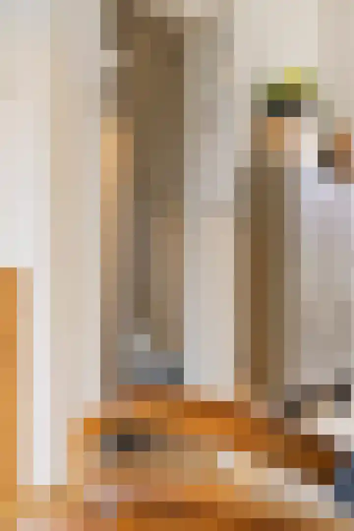Groenesteinlaan 9 Groningen thumbnail 24