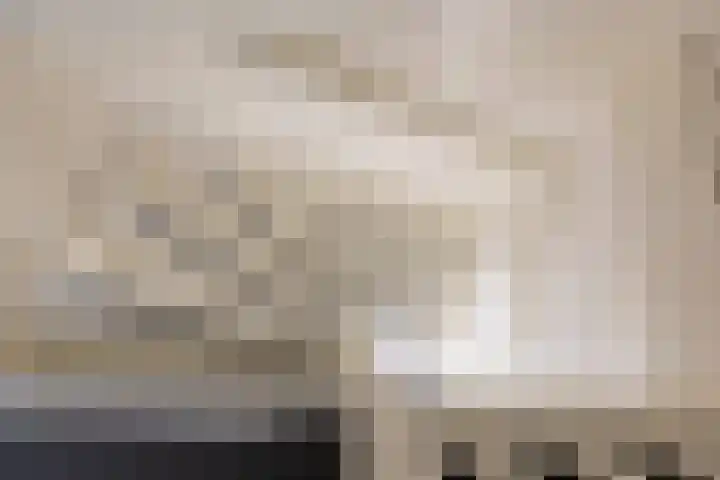 Groenesteinlaan 9 Groningen thumbnail 27