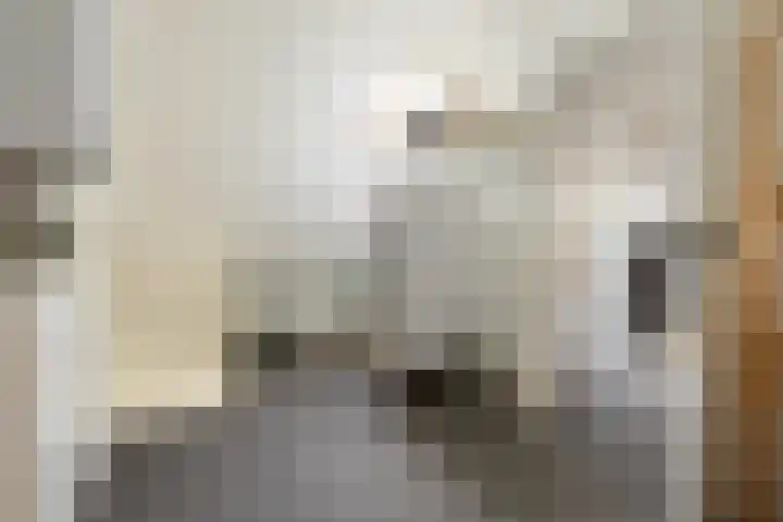 Groenesteinlaan 9 Groningen thumbnail 37
