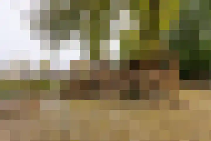 Groenesteinlaan 9 Groningen thumbnail 44
