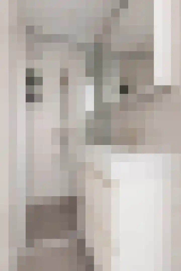 Groenesteinlaan 9 Groningen thumbnail 6