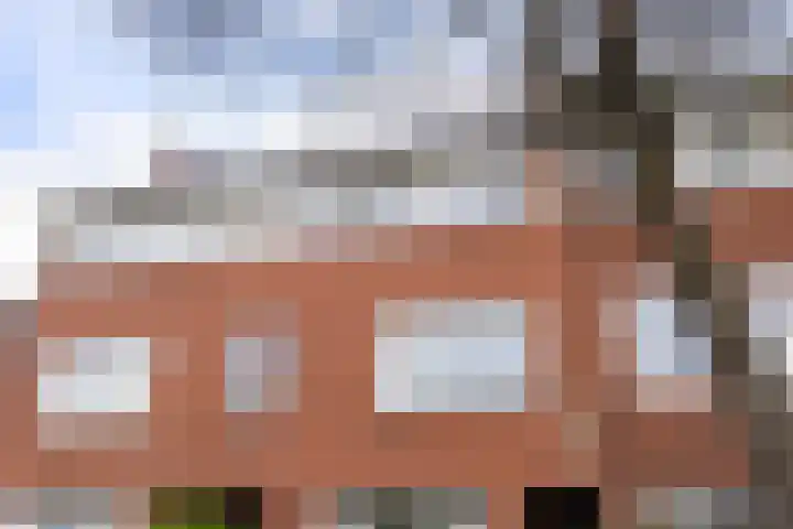 Groenesteinlaan 9 Groningen thumbnail 9