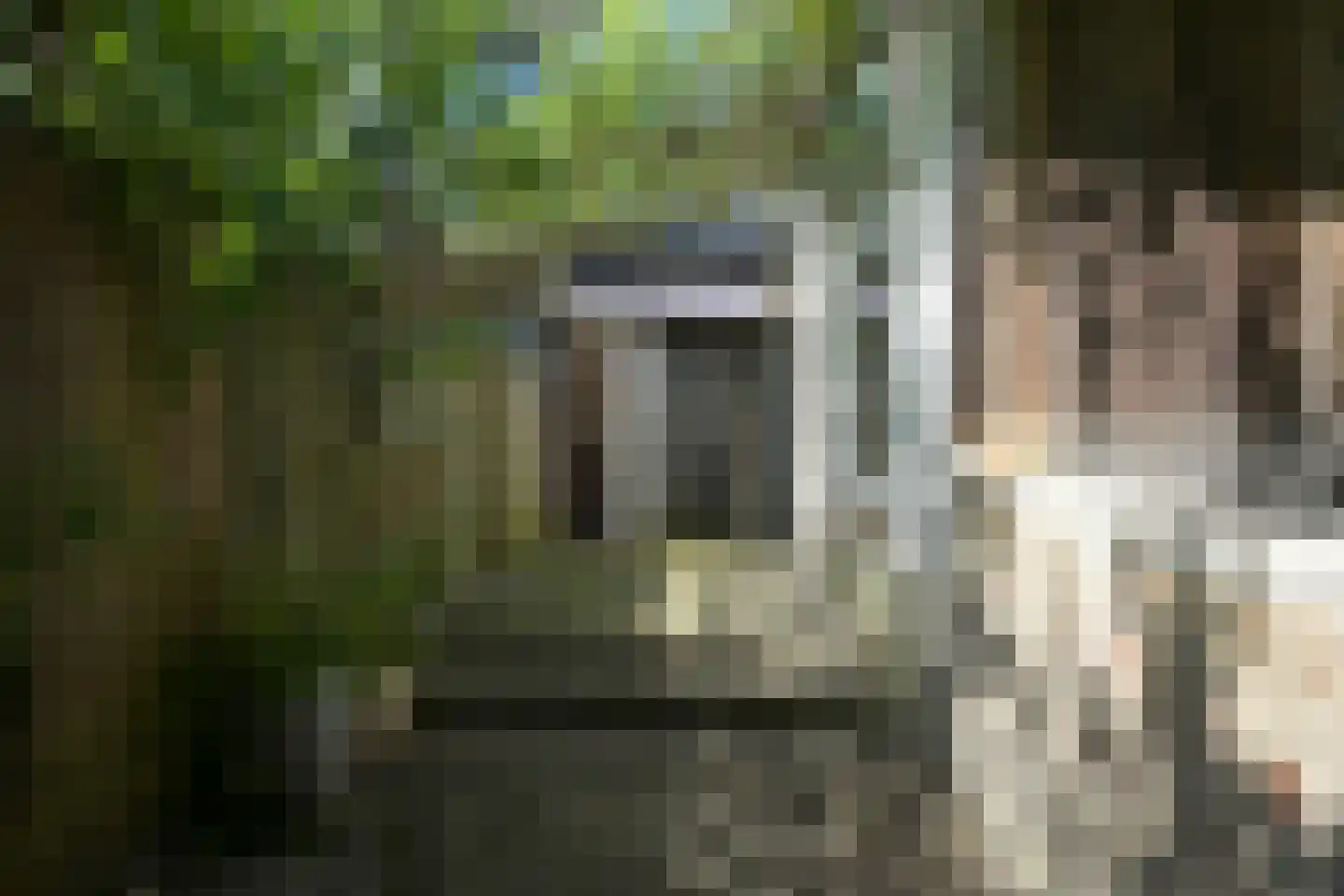 Groenesteinstraat 52 Den Haag thumbnail 11