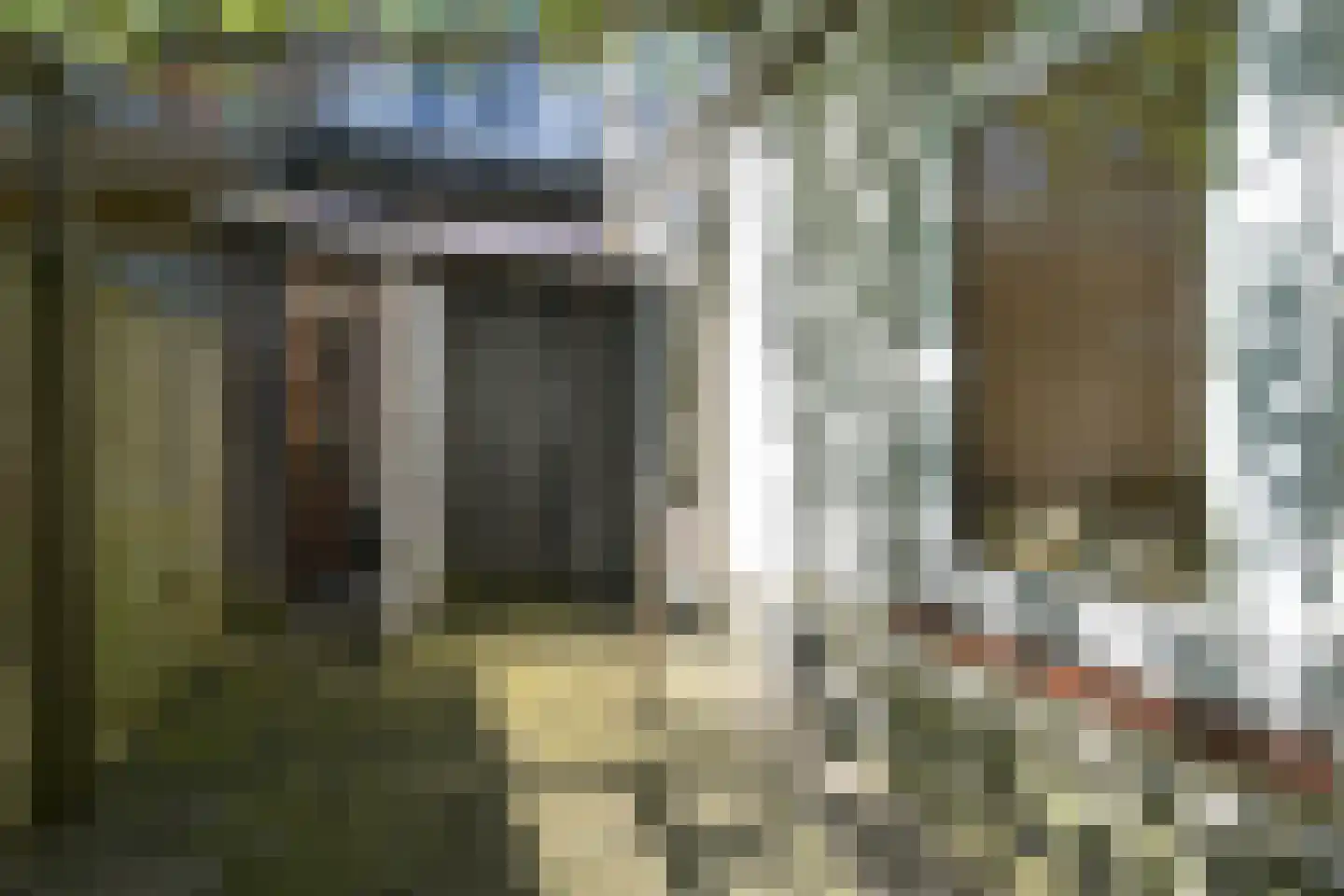 Groenesteinstraat 52 Den Haag thumbnail 17