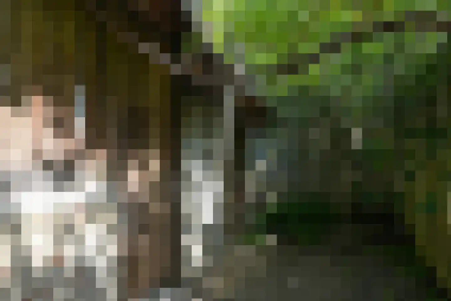 Groenesteinstraat 52 Den Haag thumbnail 22