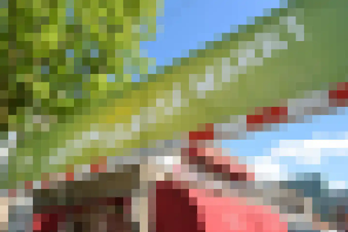Groenesteinstraat 52 Den Haag thumbnail 5