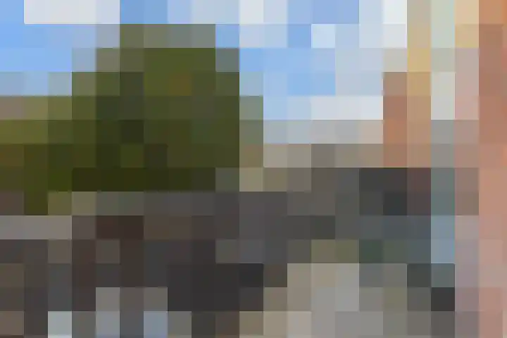 Groenesteinstraat 75 Den Haag thumbnail 10