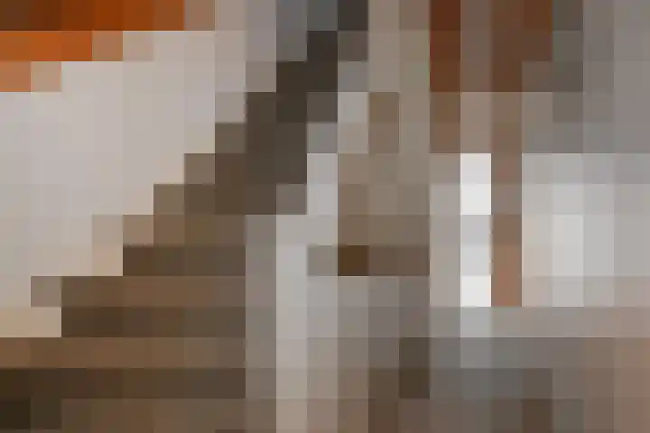 Groenesteinstraat 75 Den Haag thumbnail 16