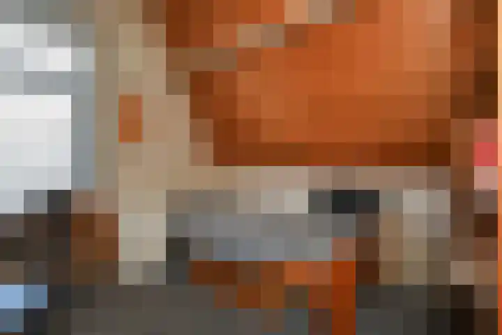 Groenesteinstraat 75 Den Haag thumbnail 22