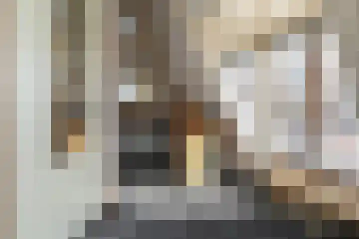Groenesteinstraat 75 Den Haag thumbnail 29