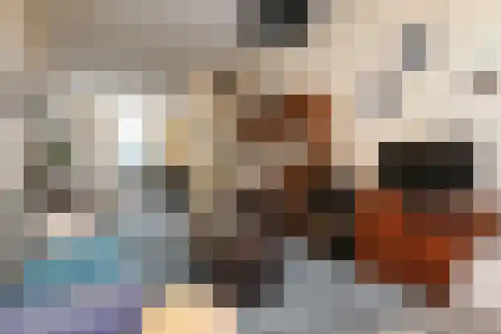 Groenesteinstraat 75 Den Haag thumbnail 6