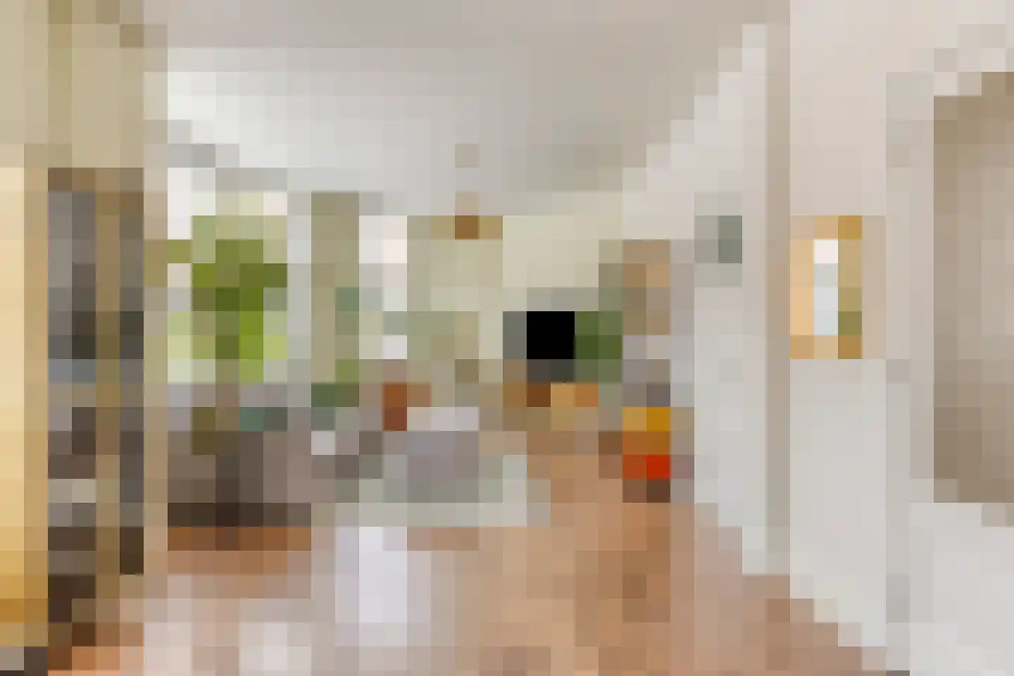 Groenesteinstraat 9 Den Haag thumbnail 10