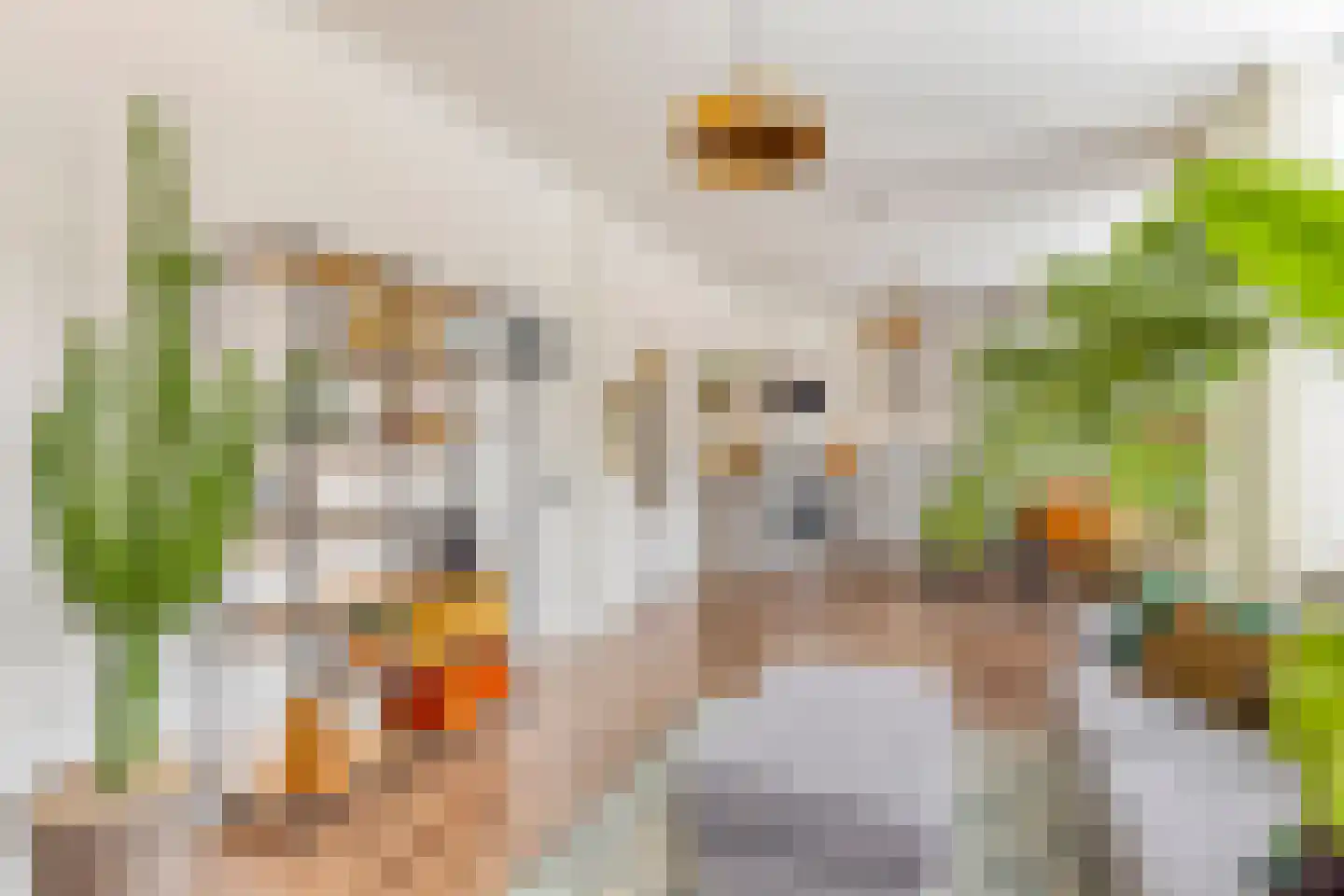 Groenesteinstraat 9 Den Haag thumbnail 13