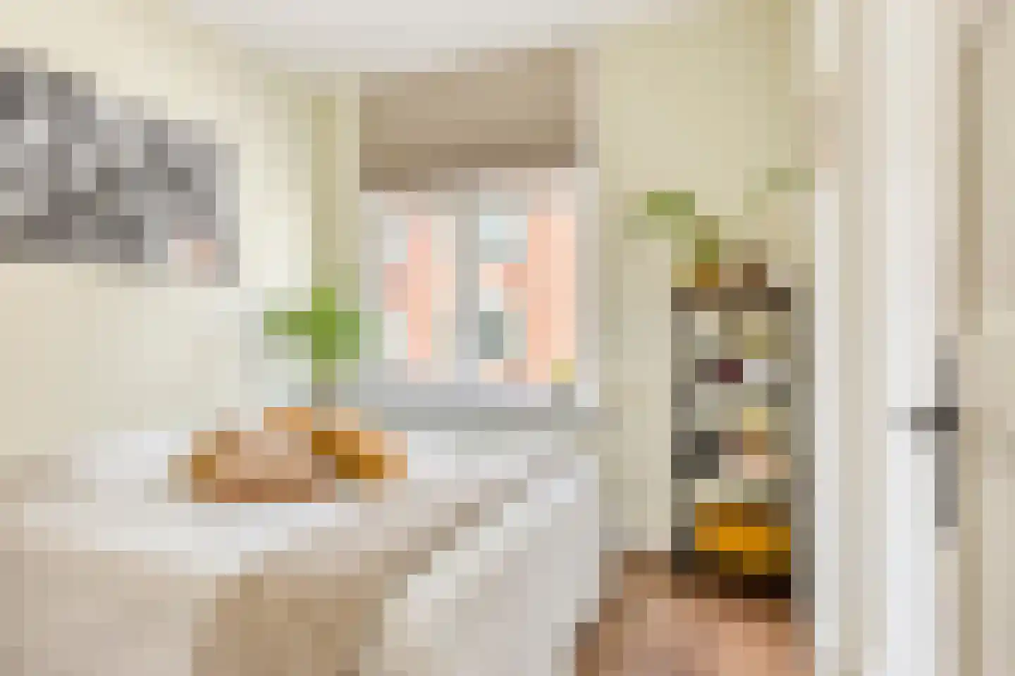 Groenesteinstraat 9 Den Haag thumbnail 23