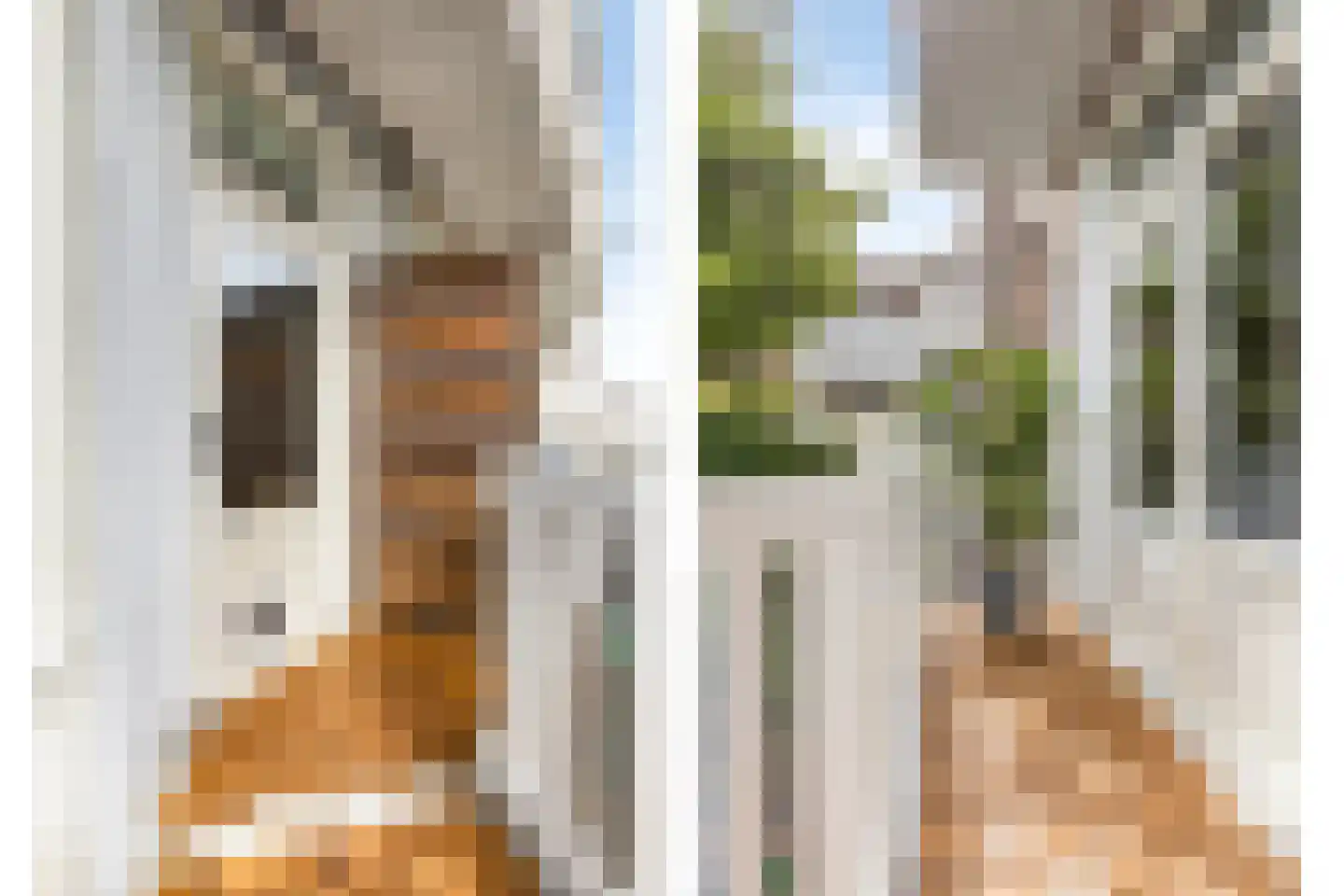 Groenesteinstraat 9 Den Haag thumbnail 29