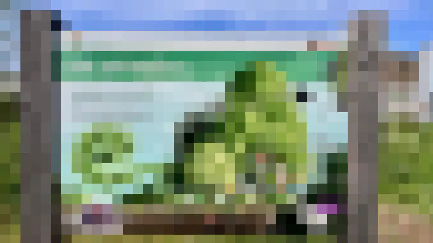 Groenesteinstraat 9 Den Haag thumbnail 35