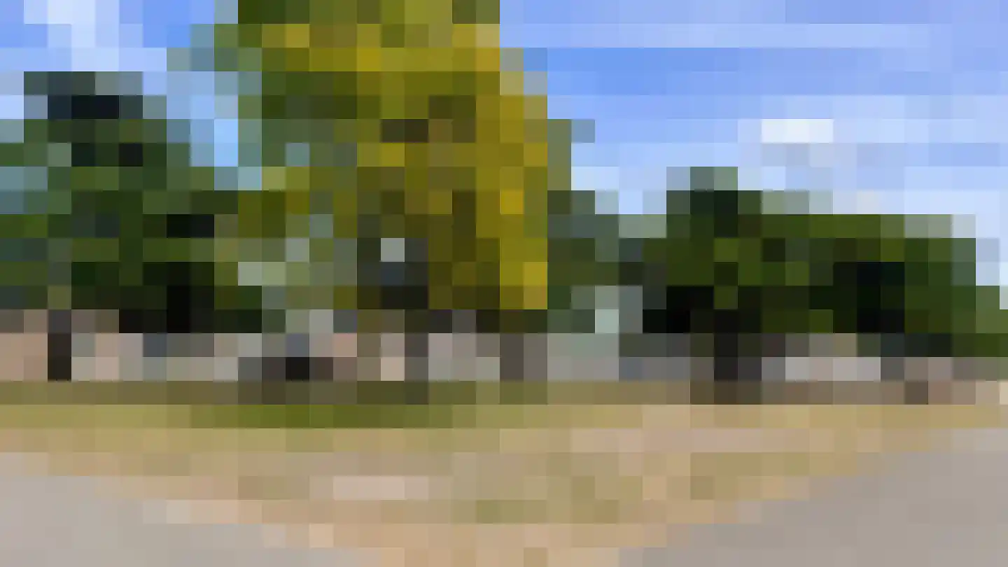 Groenesteinstraat 9 Den Haag thumbnail 38