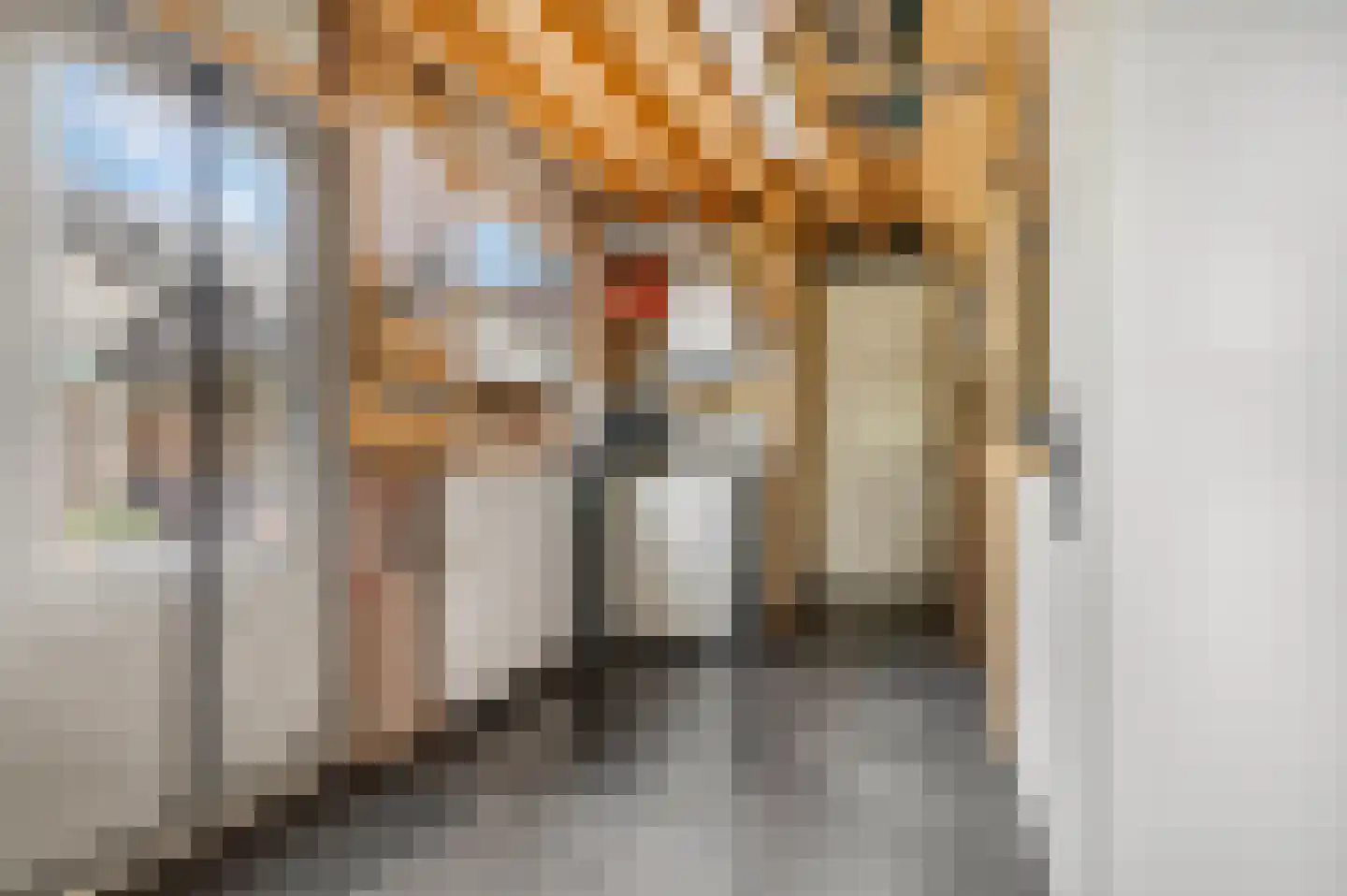 Groenestraat 13 Ochten thumbnail 42