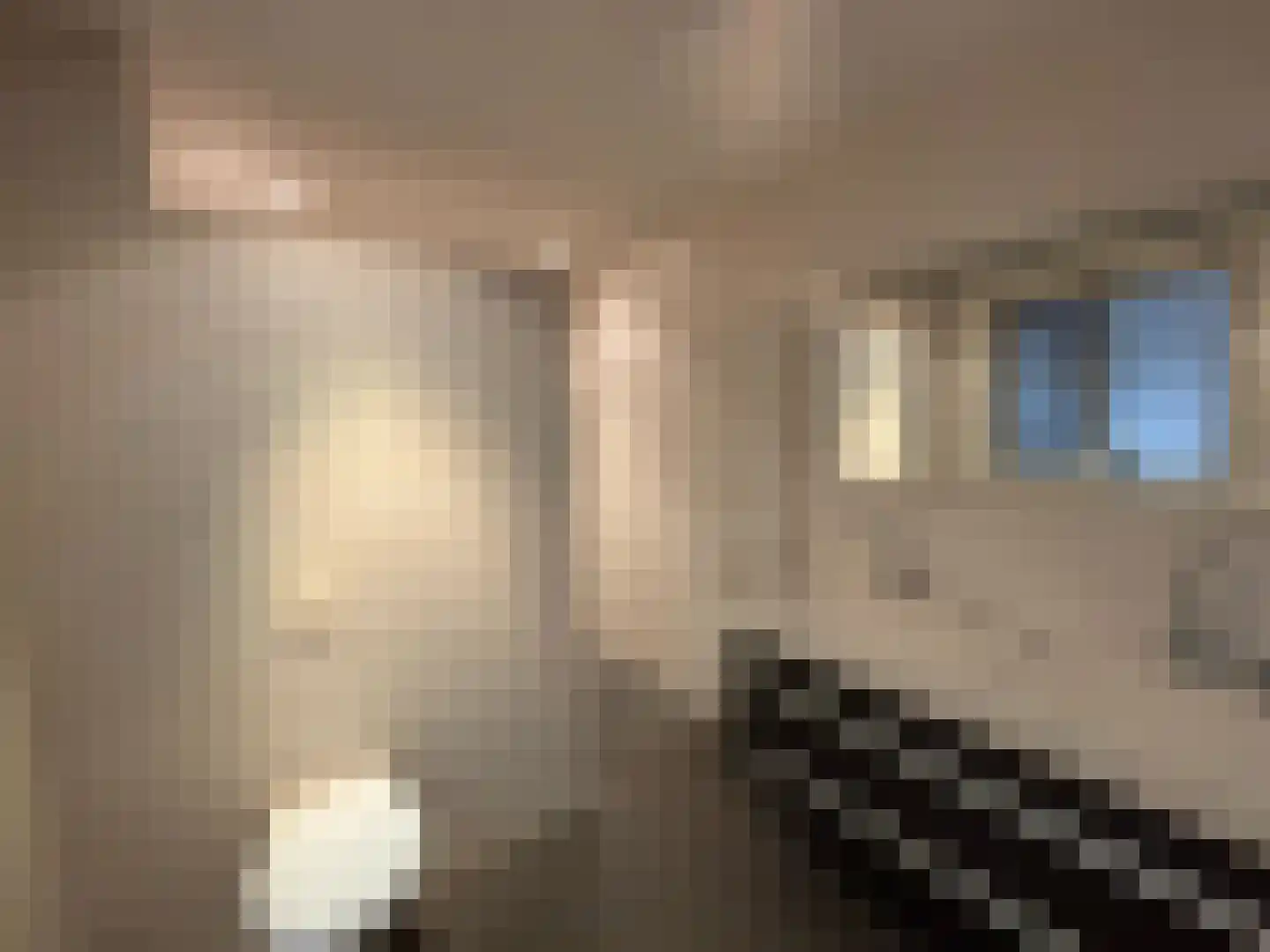 Groenestraat 15 Blokzijl thumbnail 11