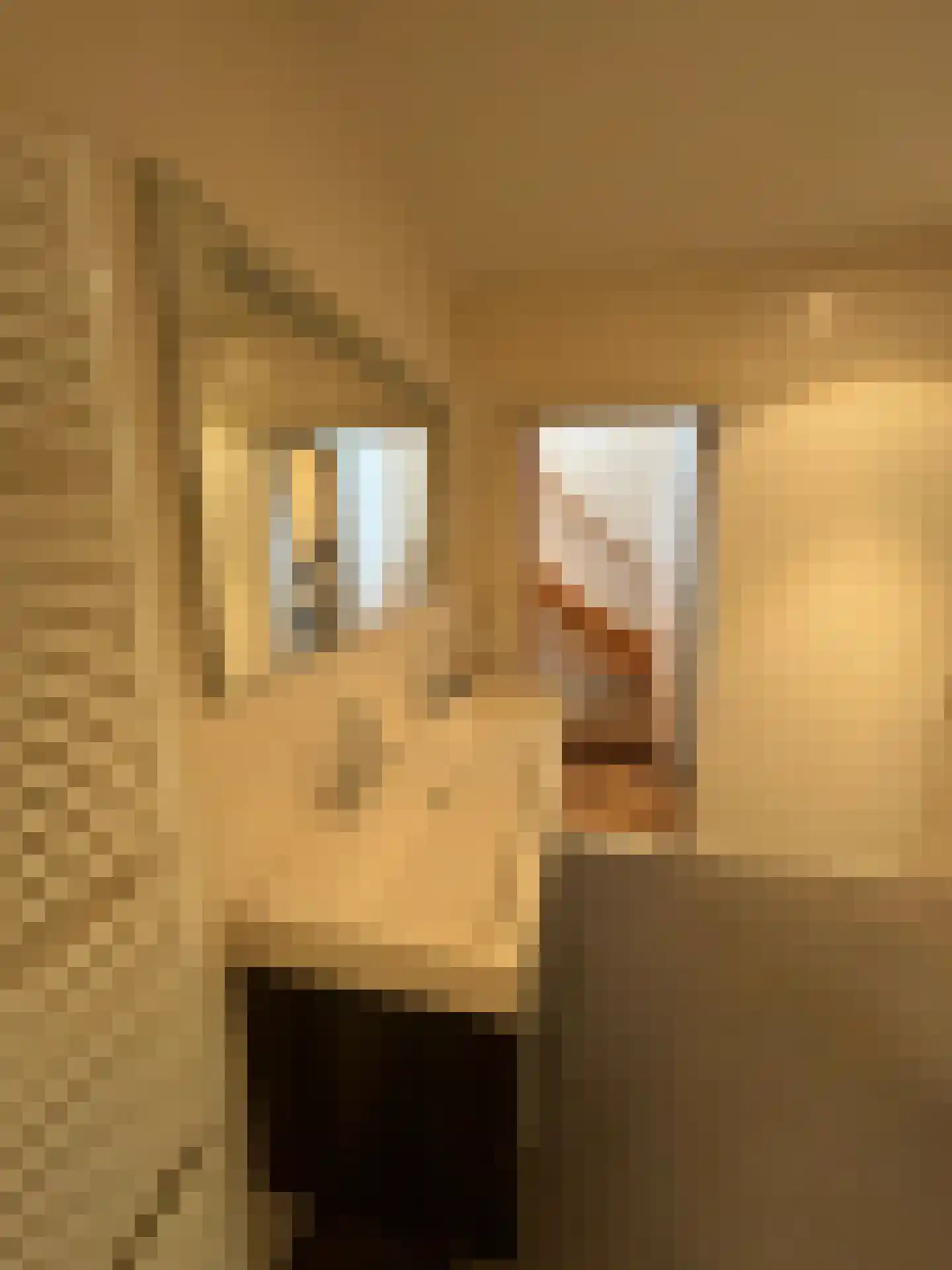Groenestraat 15 Blokzijl thumbnail 12