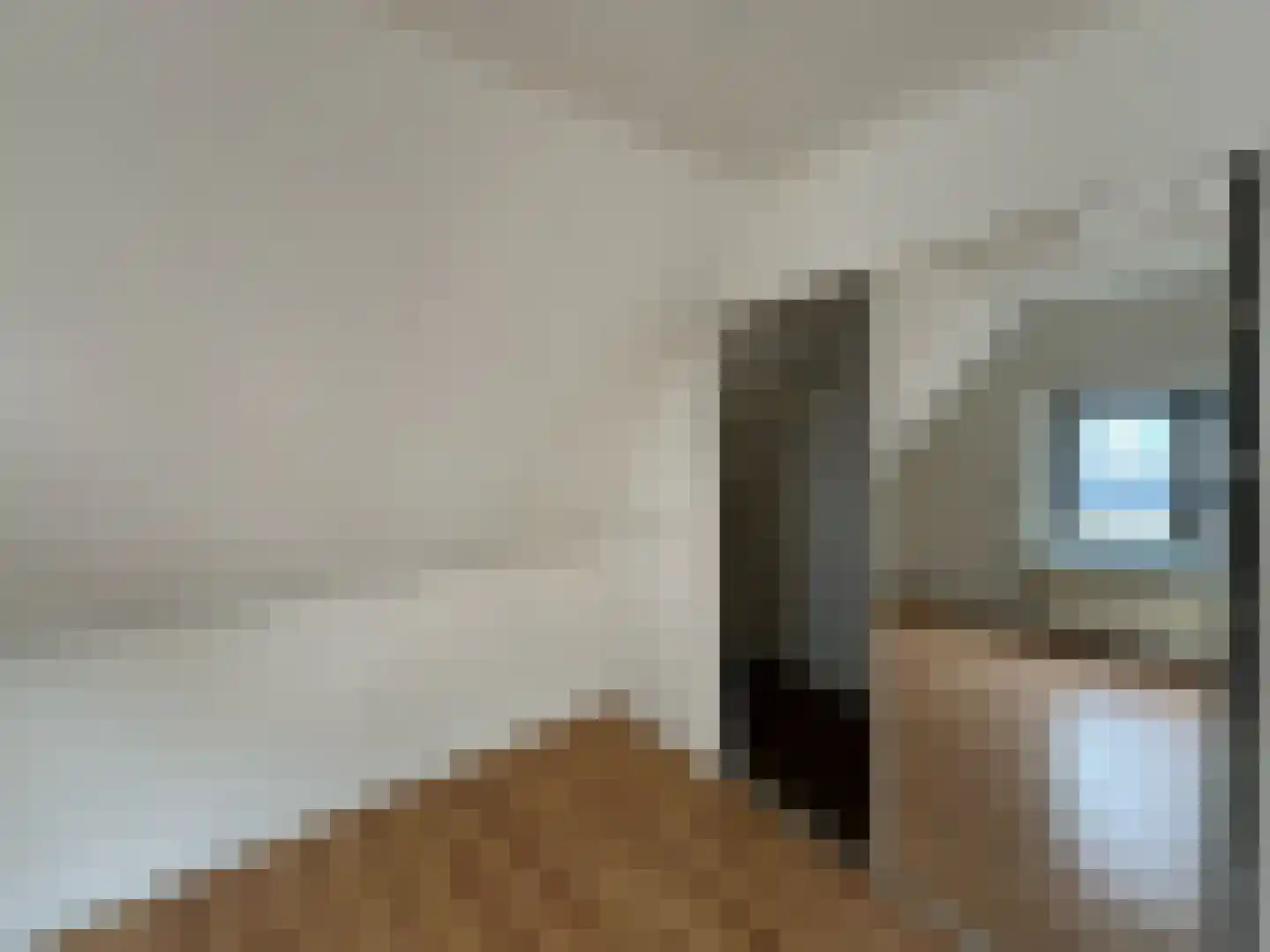 Groenestraat 15 Blokzijl thumbnail 17