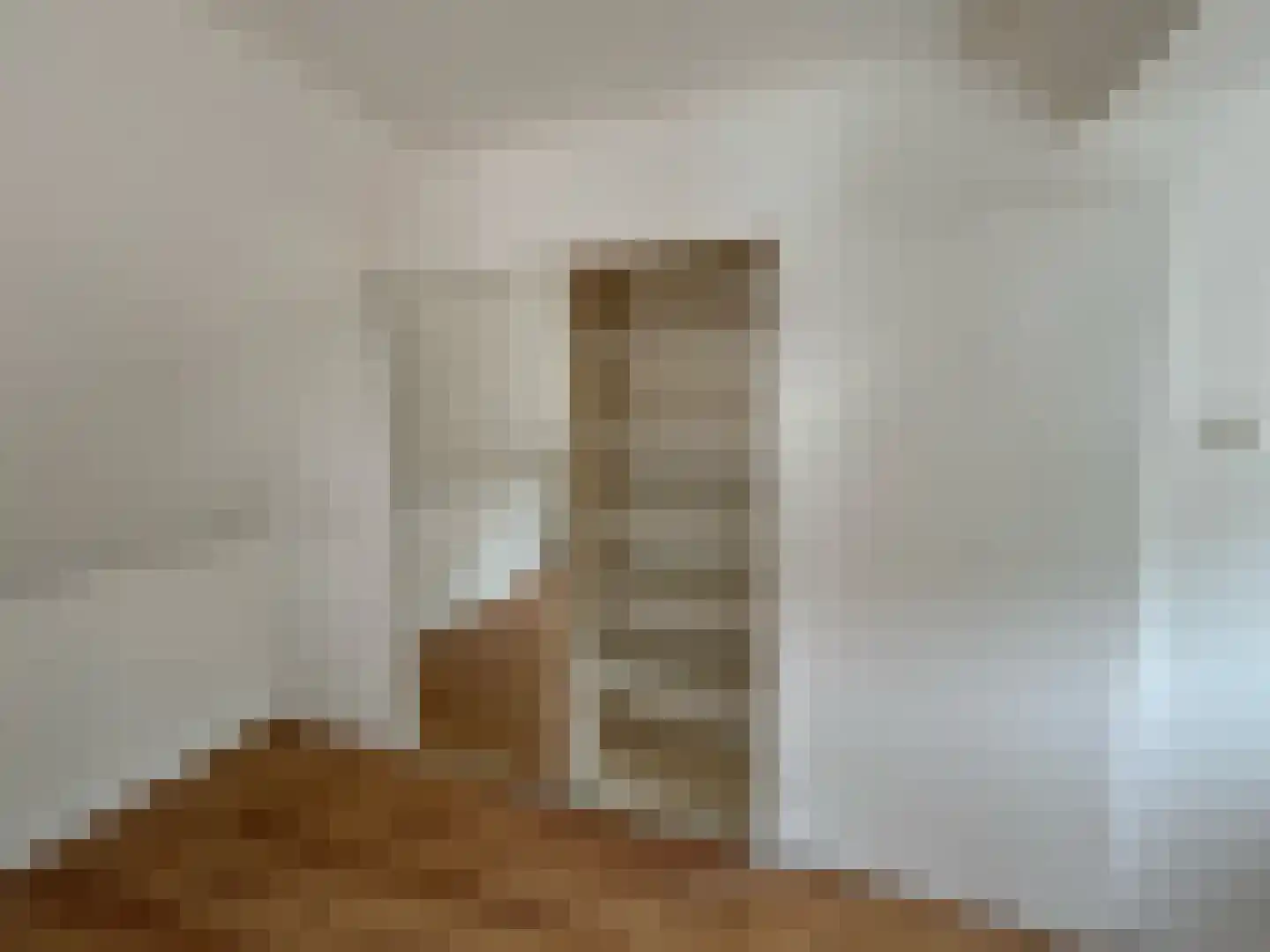Groenestraat 15 Blokzijl thumbnail 18