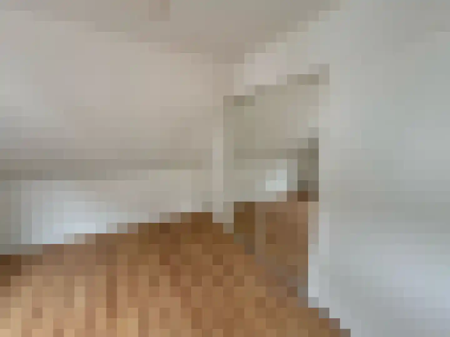Groenestraat 15 Blokzijl thumbnail 19
