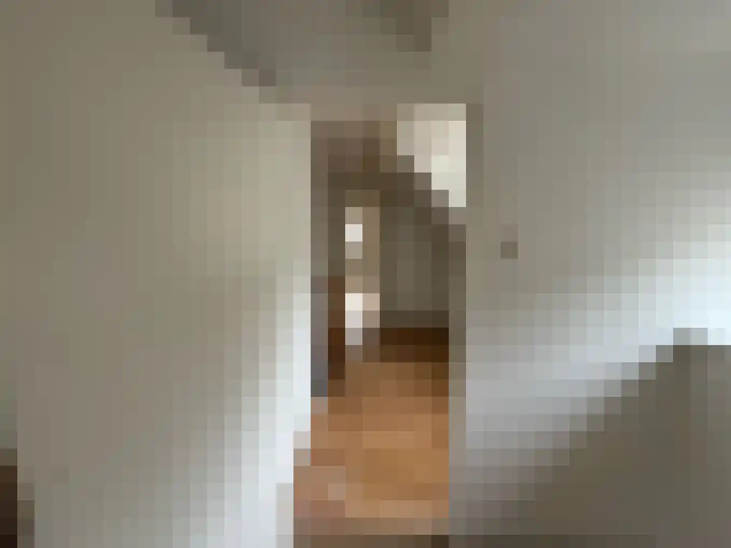 Groenestraat 15 Blokzijl thumbnail 20