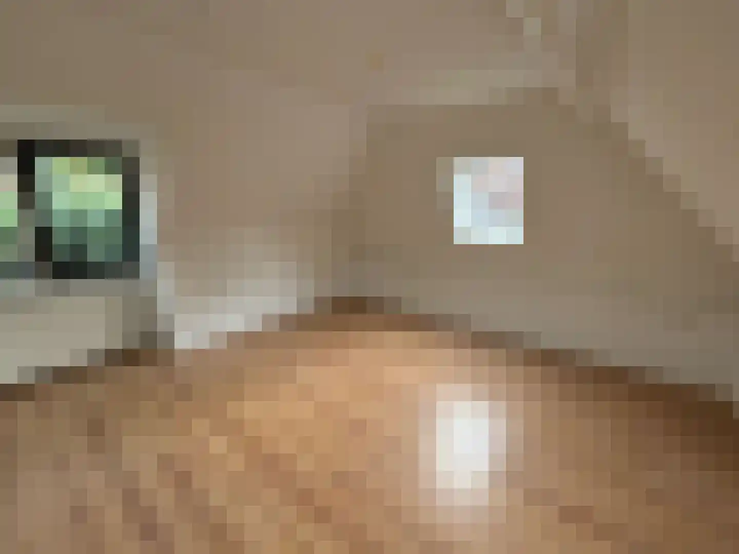 Groenestraat 15 Blokzijl thumbnail 21