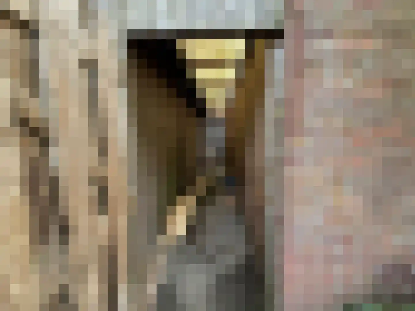 Groenestraat 15 Blokzijl thumbnail 24