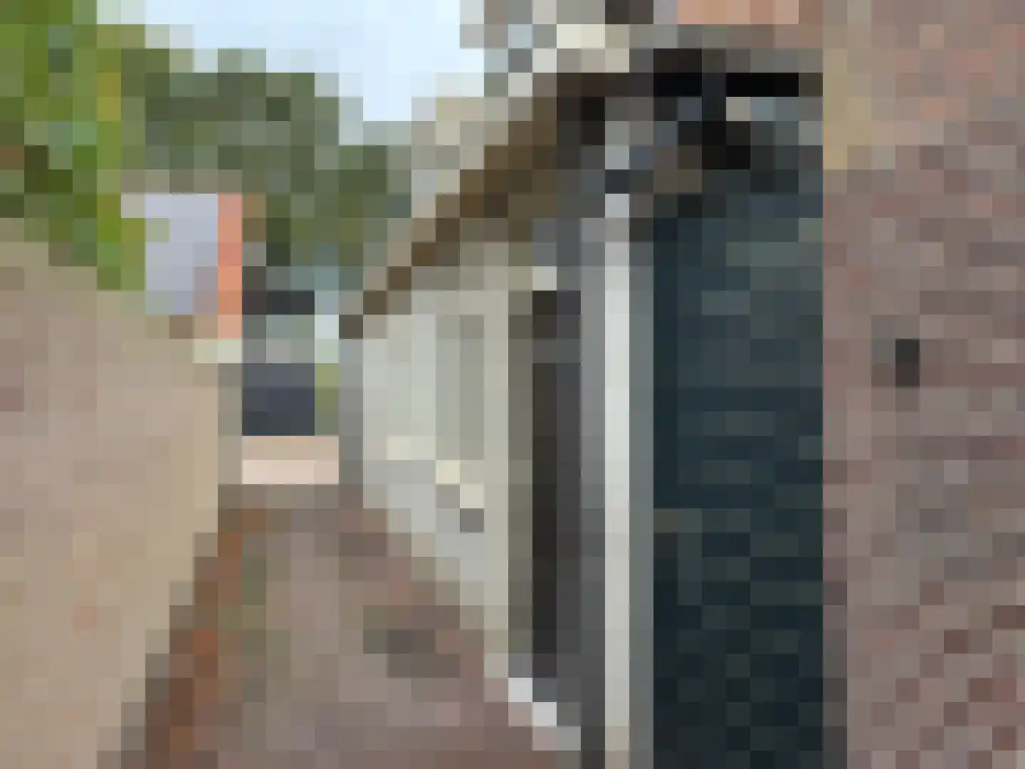 Groenestraat 15 Blokzijl thumbnail 29