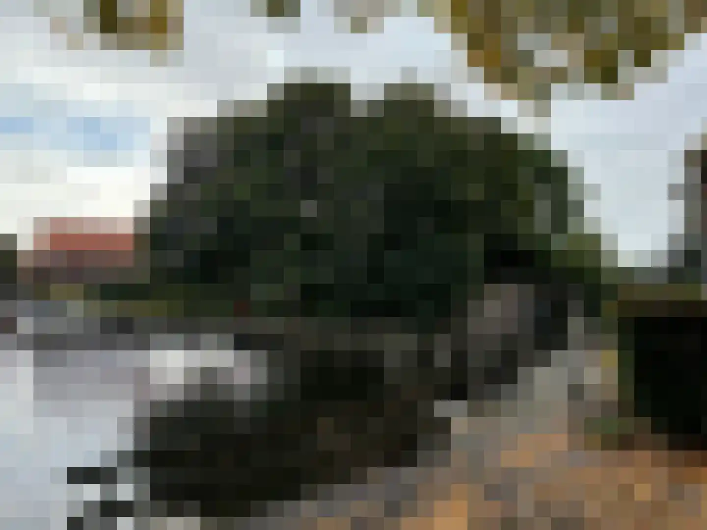 Groenestraat 15 Blokzijl thumbnail 31