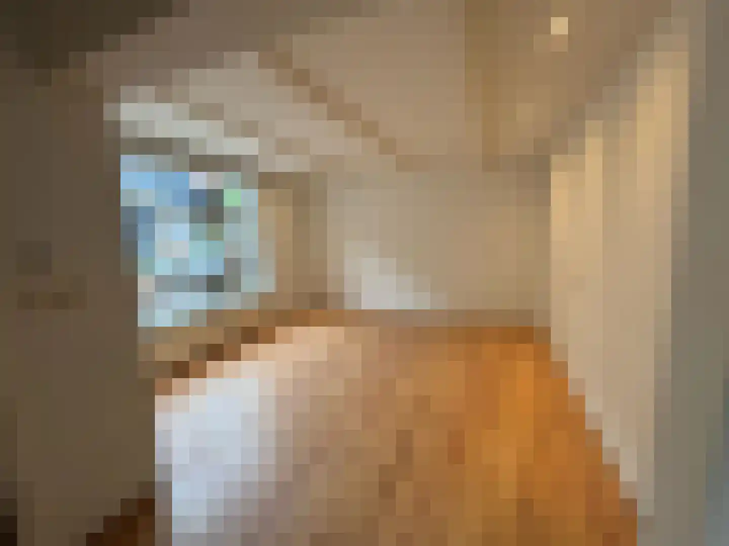 Groenestraat 15 Blokzijl thumbnail 4