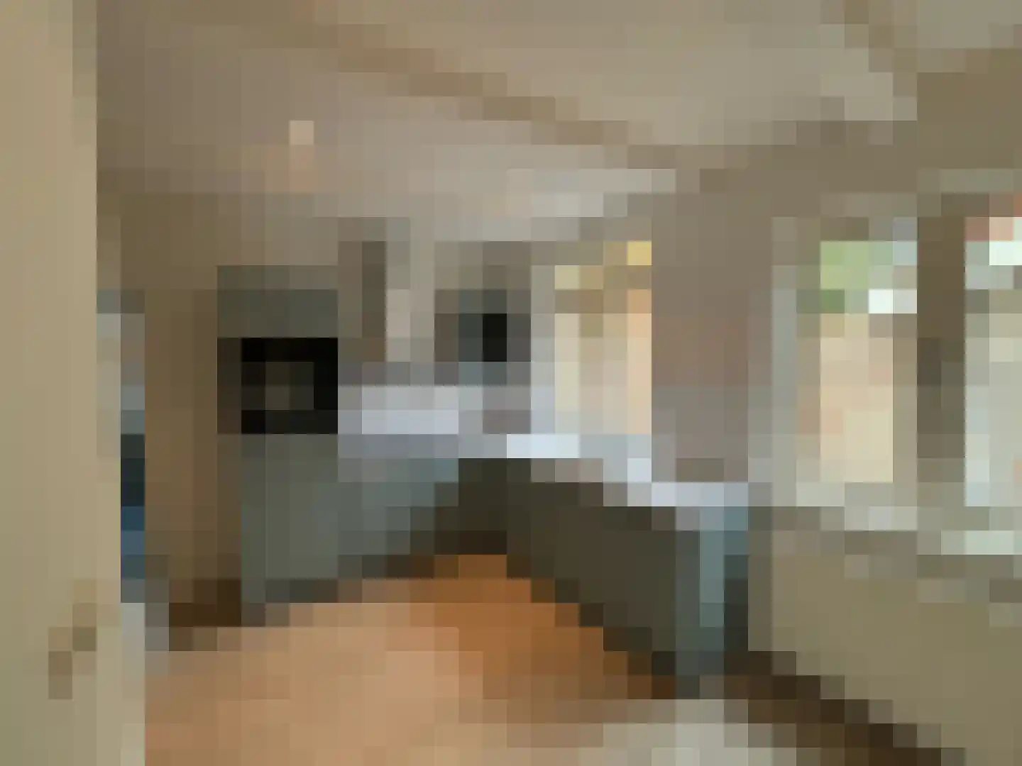 Groenestraat 15 Blokzijl thumbnail 7