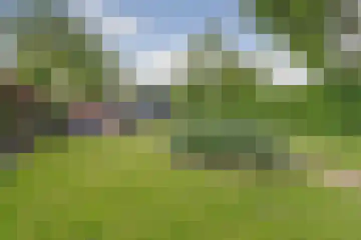 Groenestraat 15 Elst thumbnail 10